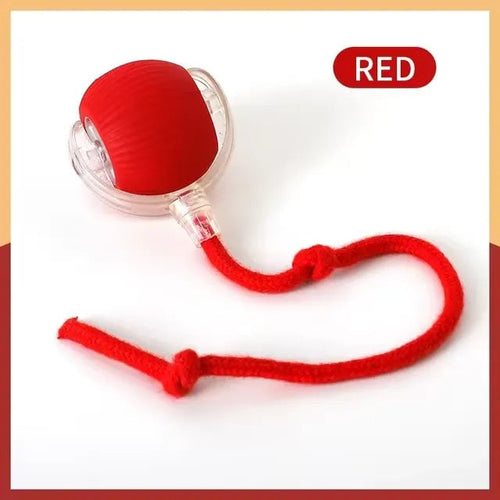 🔥Hot Sale 📢 Smart Interactive Rolling Ball For Cats And Dogs
