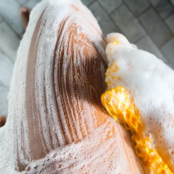 🔥Buy 1 Get 1 Free✨African Exfoliating Net Sponge