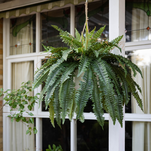 🏆Flash Sale⚡ 50K+ SOLD!🔥🌱 UV-Resistant Lifelike Artificial Boston Fern