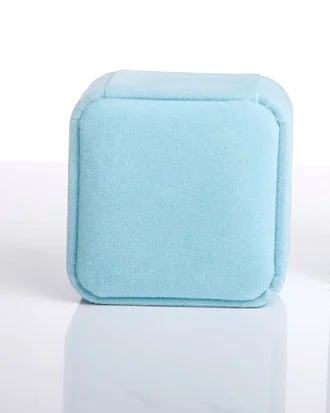 🏆Flash Sale⚡ 50K+ SOLD! Almost Gone-💥2025 New Earring Lifters,Best Gifts