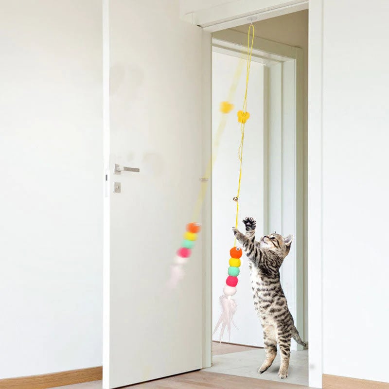 😻Hanging Bouncing Cats Toy