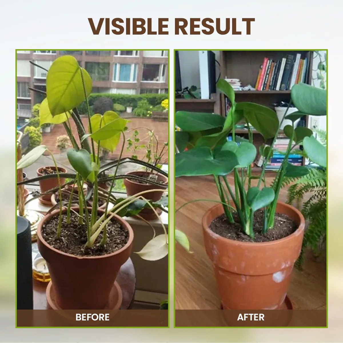 👩🏻🌾🌱Rejuvenate plants-Soil Pro Activator🔥