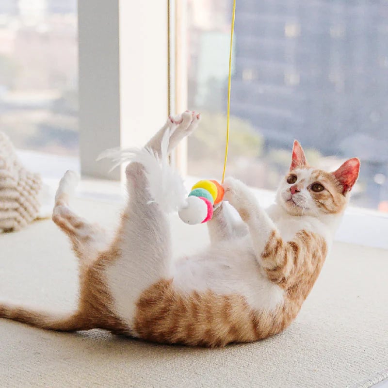 😻Hanging Bouncing Cats Toy