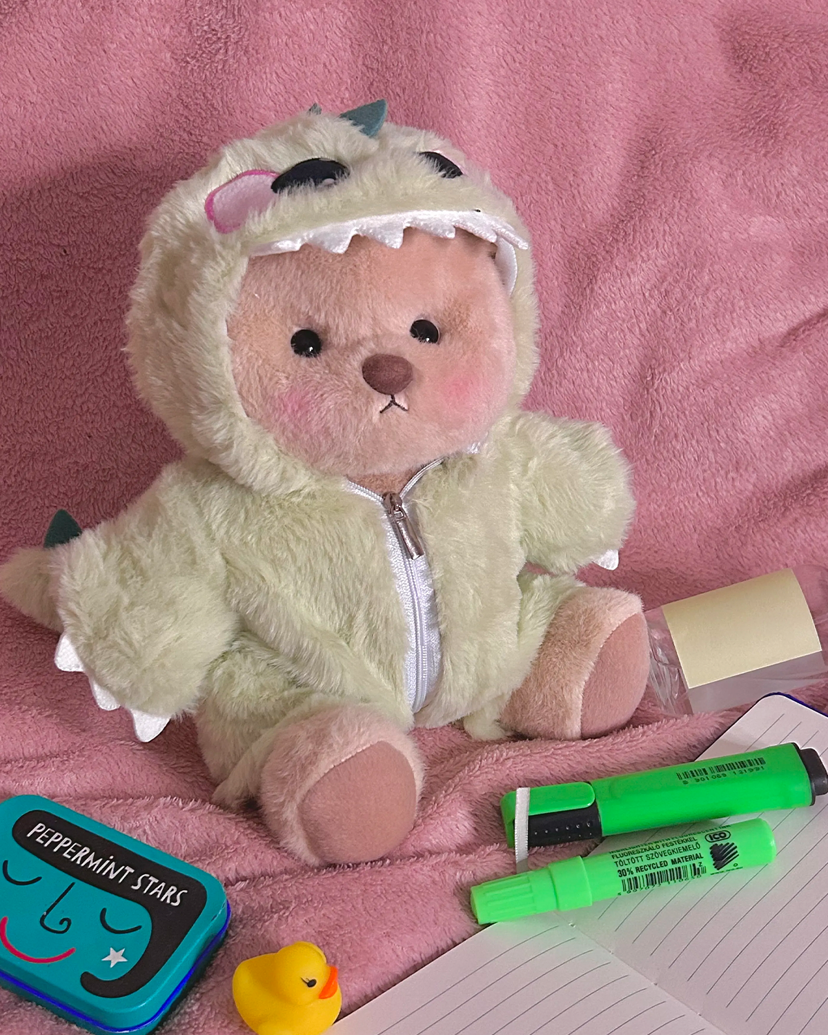 Furry Dino Bear | 🎁The most thoughtful gift I bought this year