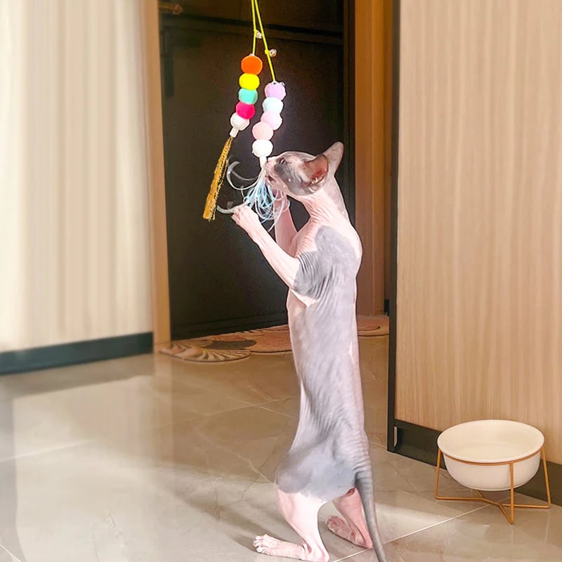 😻Hanging Bouncing Cats Toy