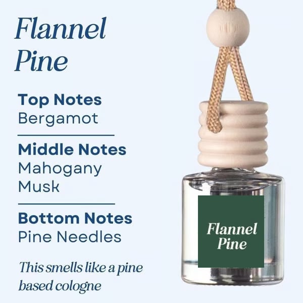 🏆Flash Sale🍃Scented Car Air Freshener