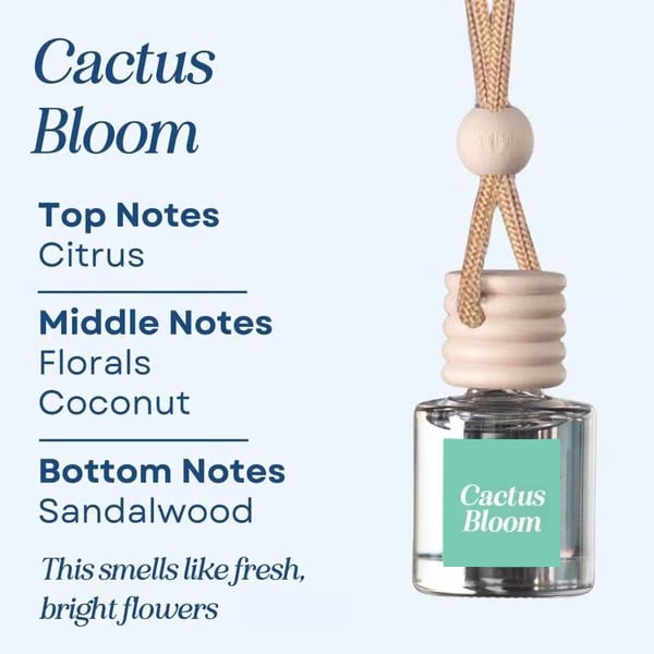 🏆Flash Sale🍃Scented Car Air Freshener