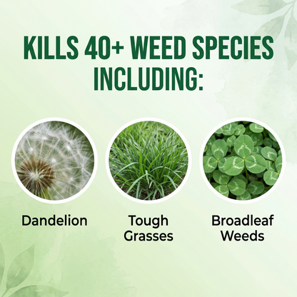 🔥2-in-1 Powerful Herbicide,🌿 Long-Lasting Control for Annual & Biennial Weeds, Non-Toxic & Harmless