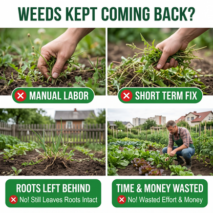 🔥2-in-1 Powerful Herbicide,🌿 Long-Lasting Control for Annual & Biennial Weeds, Non-Toxic & Harmless