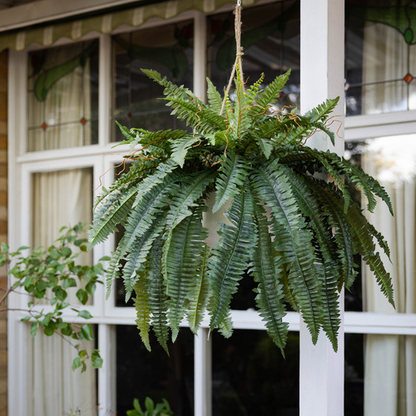 🏆Flash Sale⚡ 50K+ SOLD!🔥🌱 UV-Resistant Lifelike Artificial Boston Fern