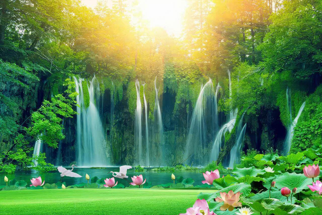 🌟🌳 Dreamy Enchanted Forest Butterfly Floral Backdrop | Perfect Outdoor Birthday Decor