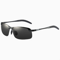 Black Frame Black Gray Lens