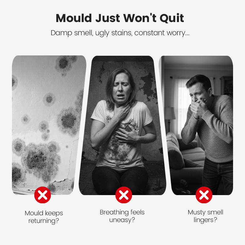 🔥Buy 2 Get 1 Free🔥⏰🔥Highly Effective Mould Removal Spray - Prevents Mould Regrowth.✅Save your and your family's health🧑‍⚕️