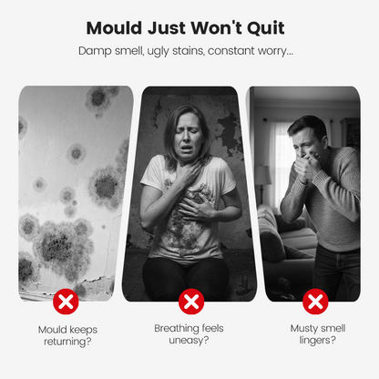 🔥Buy 2 Get 1 Free🔥⏰🔥Highly Effective Mould Removal Spray - Prevents Mould Regrowth.✅Save your and your family's health🧑‍⚕️