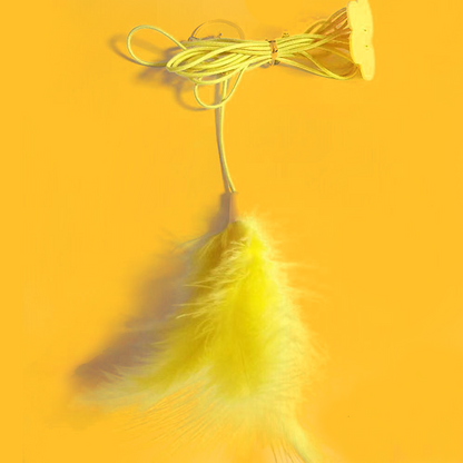 😻Hanging Bouncing Cats Toy