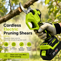 Pruner Only