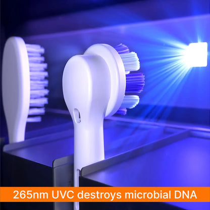 🌟Hot Sale 🌟UV Toothbrush Sterilizer& Holder
