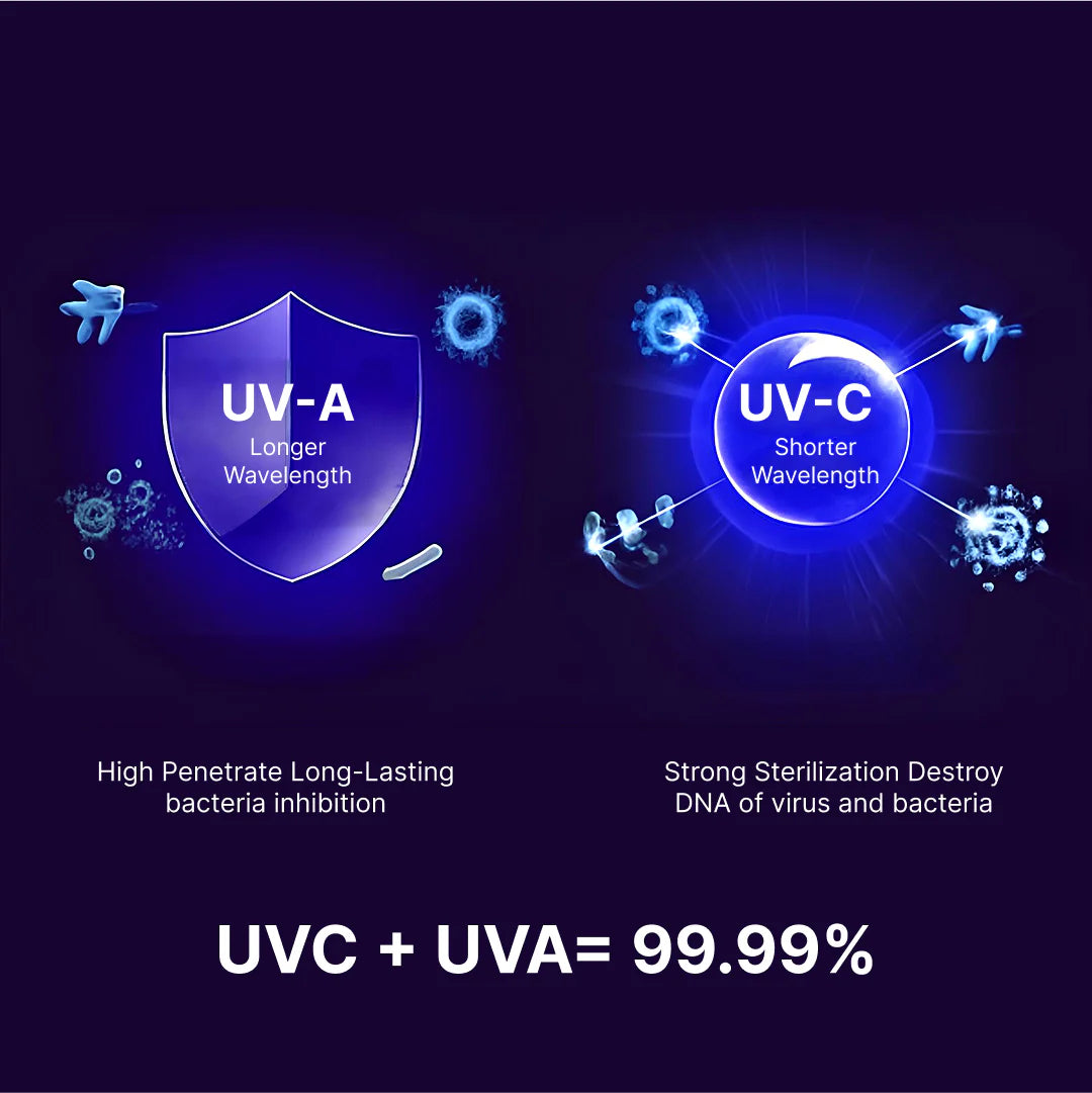 🌟Hot Sale 🌟UV Toothbrush Sterilizer& Holder