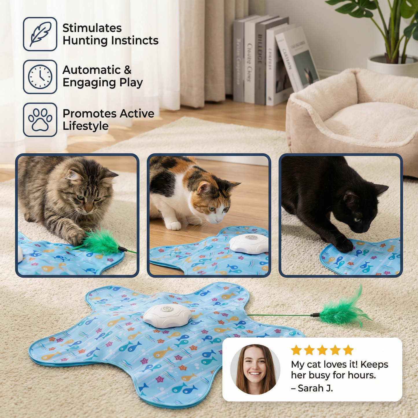 🐱 Stop Bored Cats From Turning Your Home Into Their Playground.